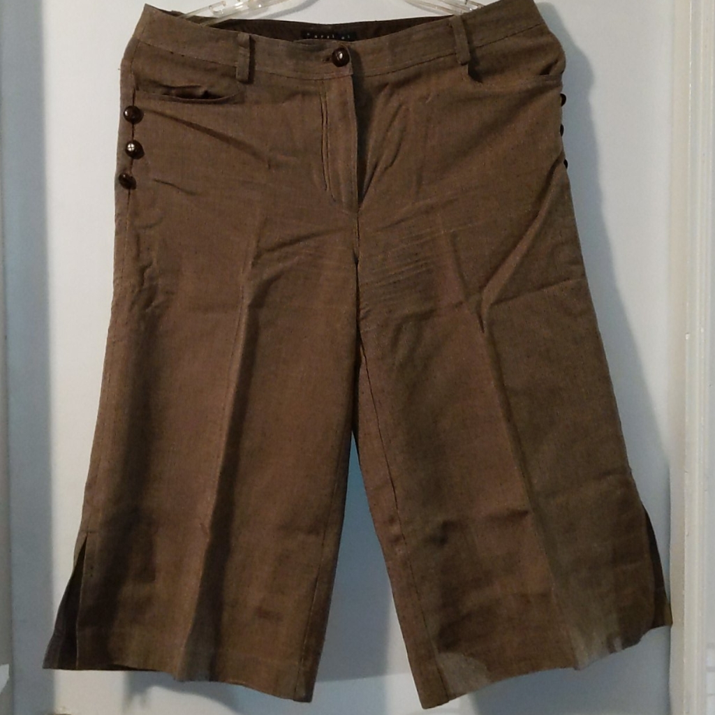 Parallel Capri Pants
